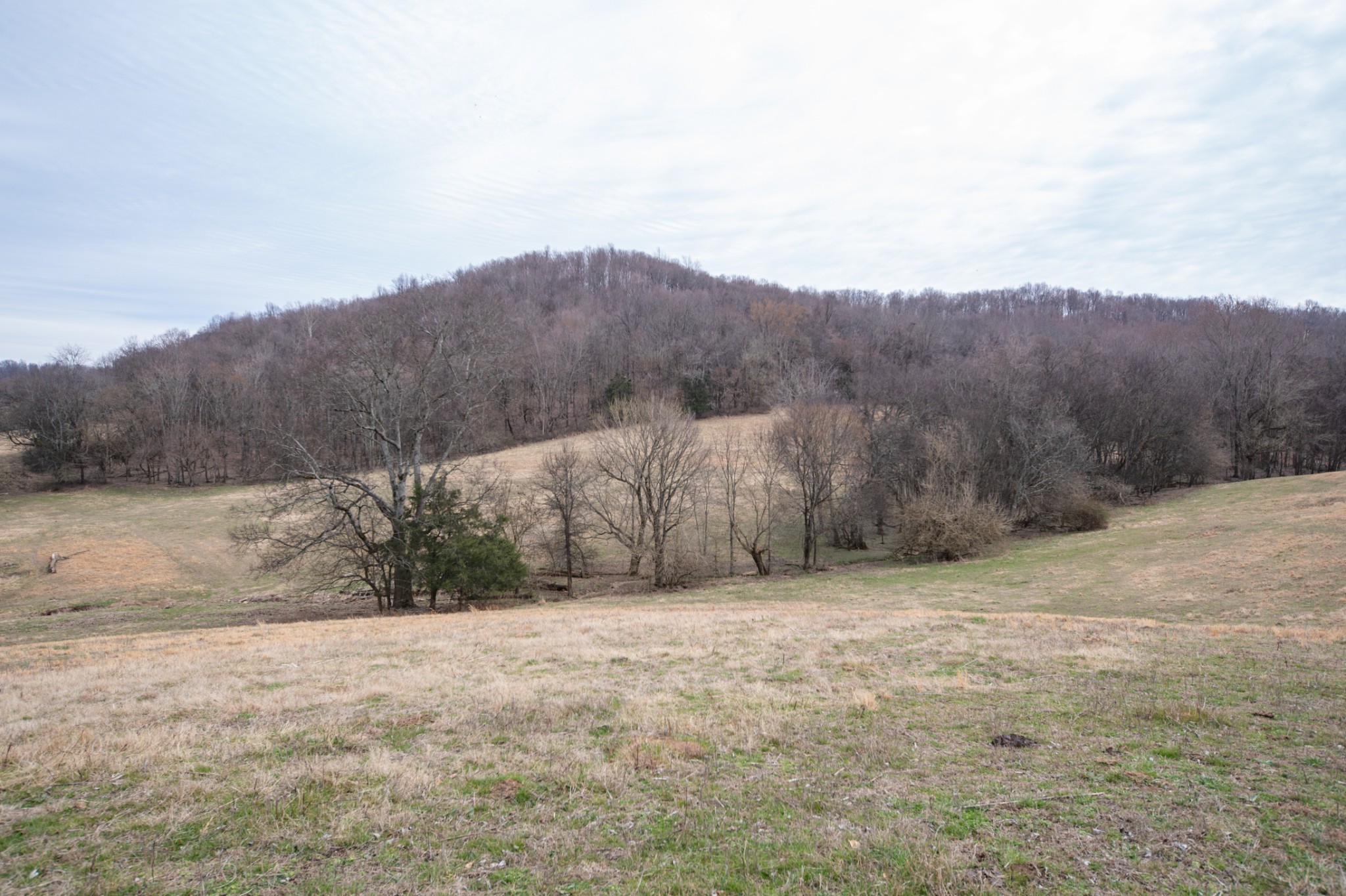 1771 Cornersville Highway Lewisburg TN 37091