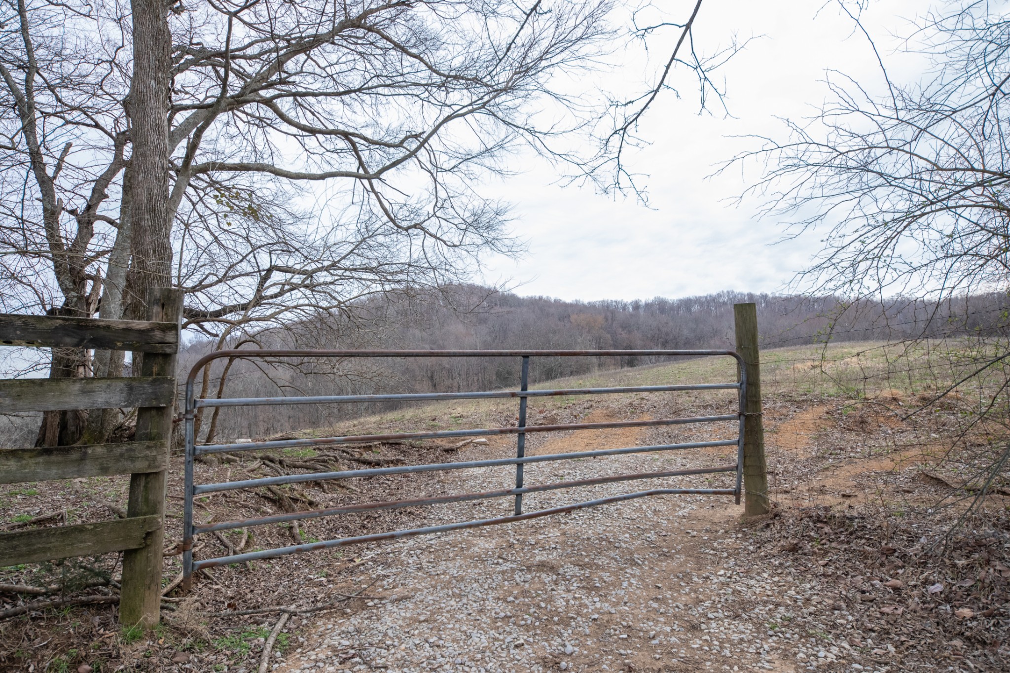 1771 Cornersville Highway Lewisburg TN 37091