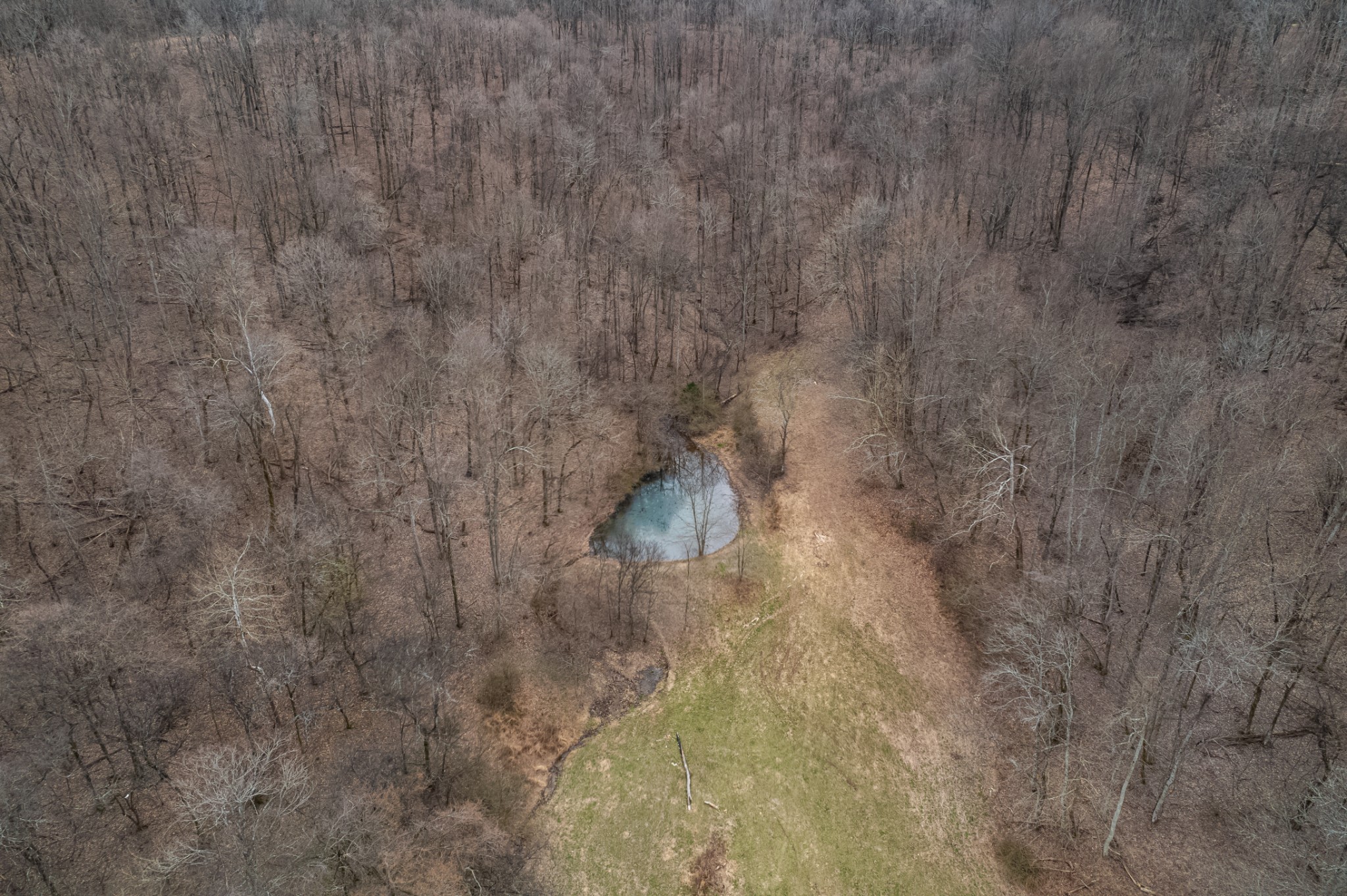 1771 Cornersville Highway Lewisburg TN 37091
