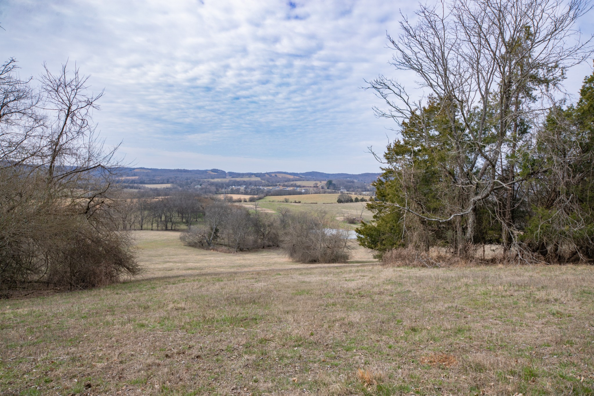 1771 Cornersville Highway Lewisburg TN 37091