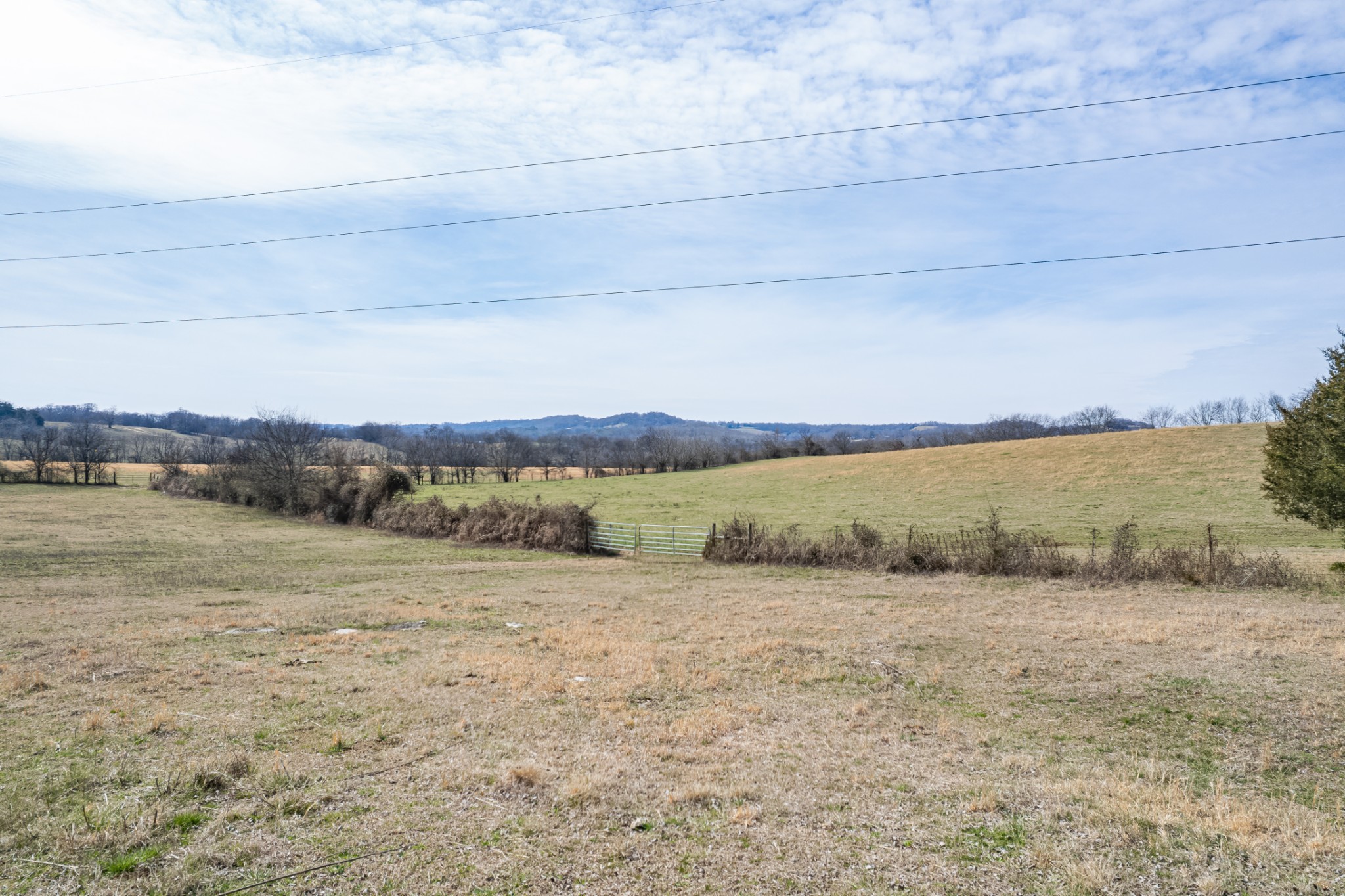 1771 Cornersville Highway Lewisburg TN 37091