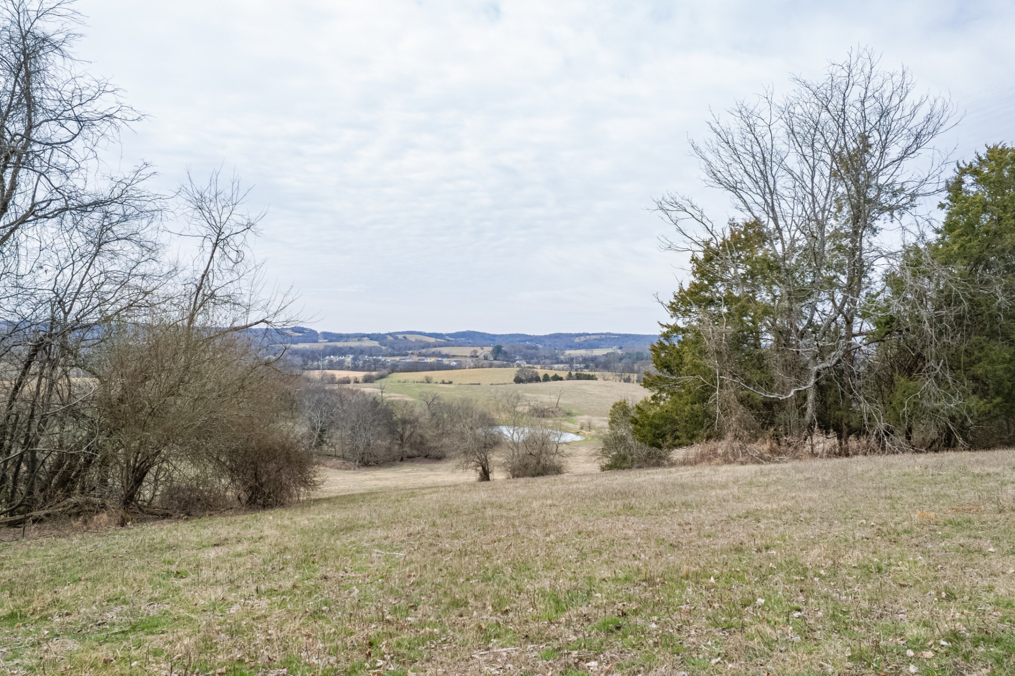 1771 Cornersville Highway Lewisburg TN 37091