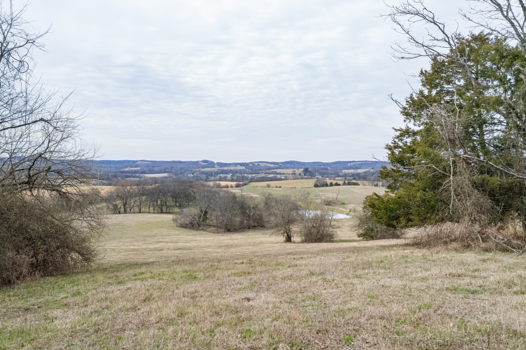 1771 Cornersville Highway Lewisburg TN 37091