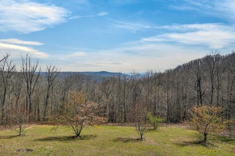 5715 Pleasant Ridge Road Sparta TN 38583