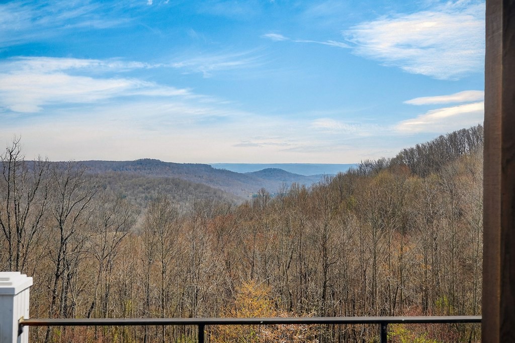 5715 Pleasant Ridge Road Sparta TN 38583