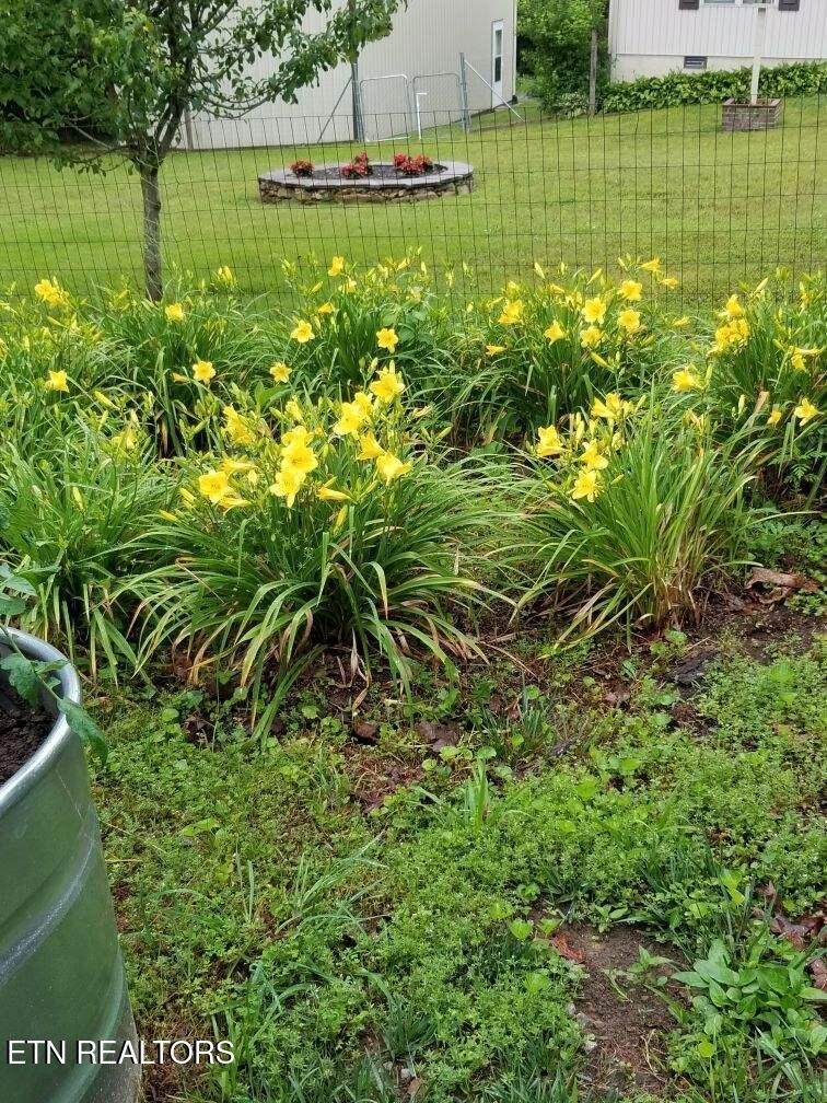 1044 Ackia Drive Crossville TN 38572
