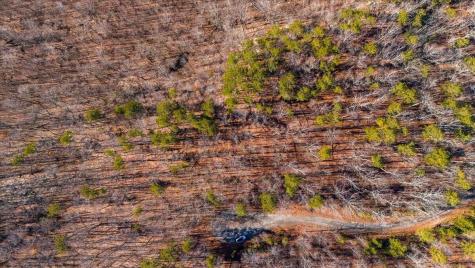 0 Old Harris Turnpike Road South Pittsburg TN 37380