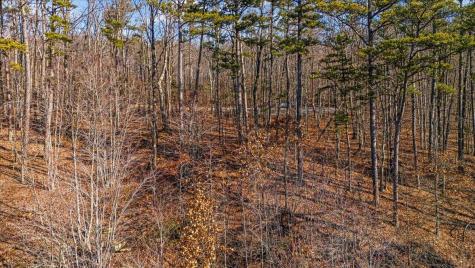 0 Old Harris Turnpike Road South Pittsburg TN 37380