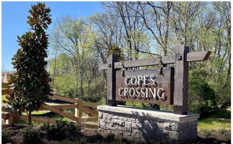 320 Brook Avenue White House TN 37188