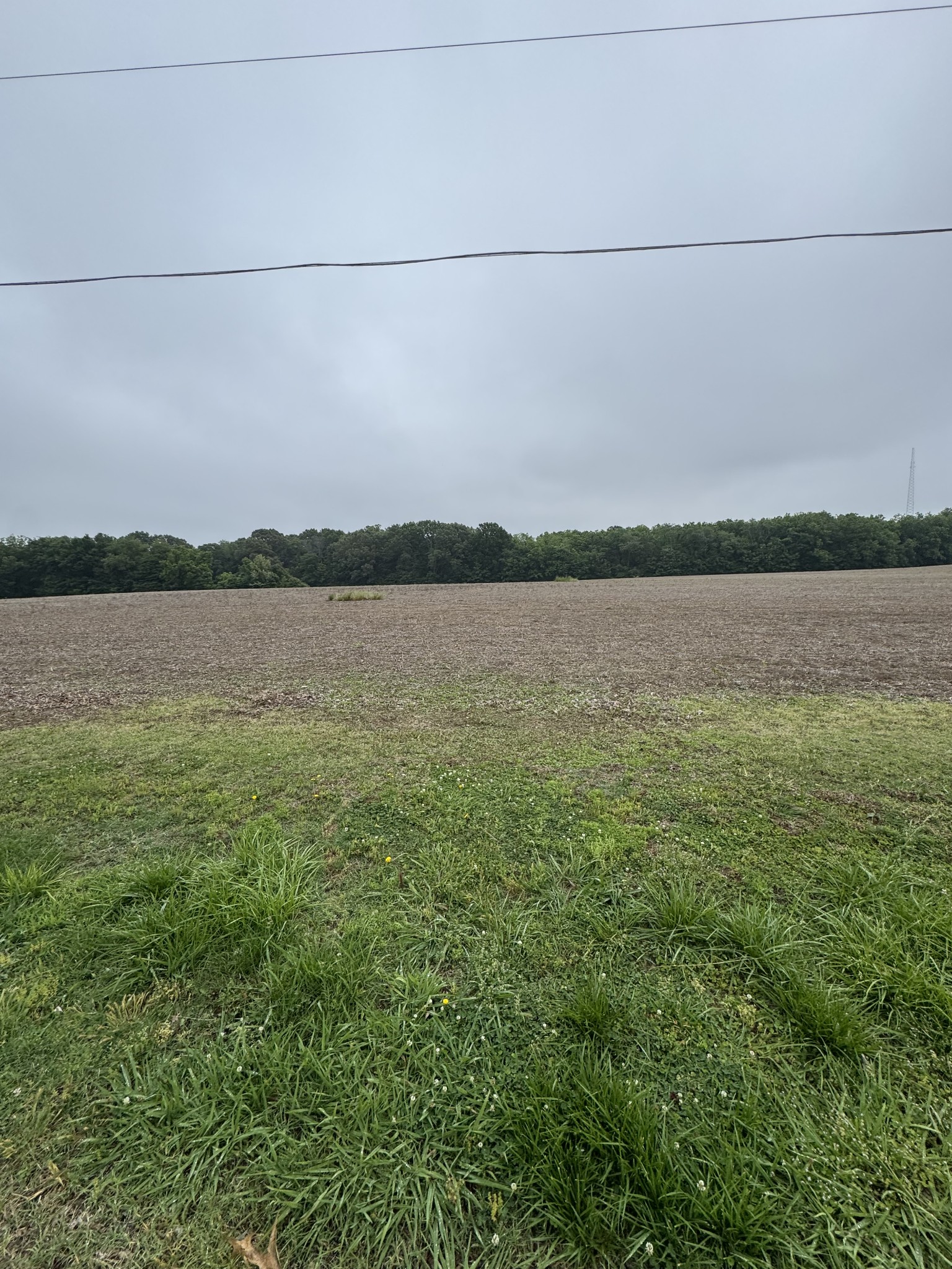 325 Harts Mill Road Atwood TN 38220