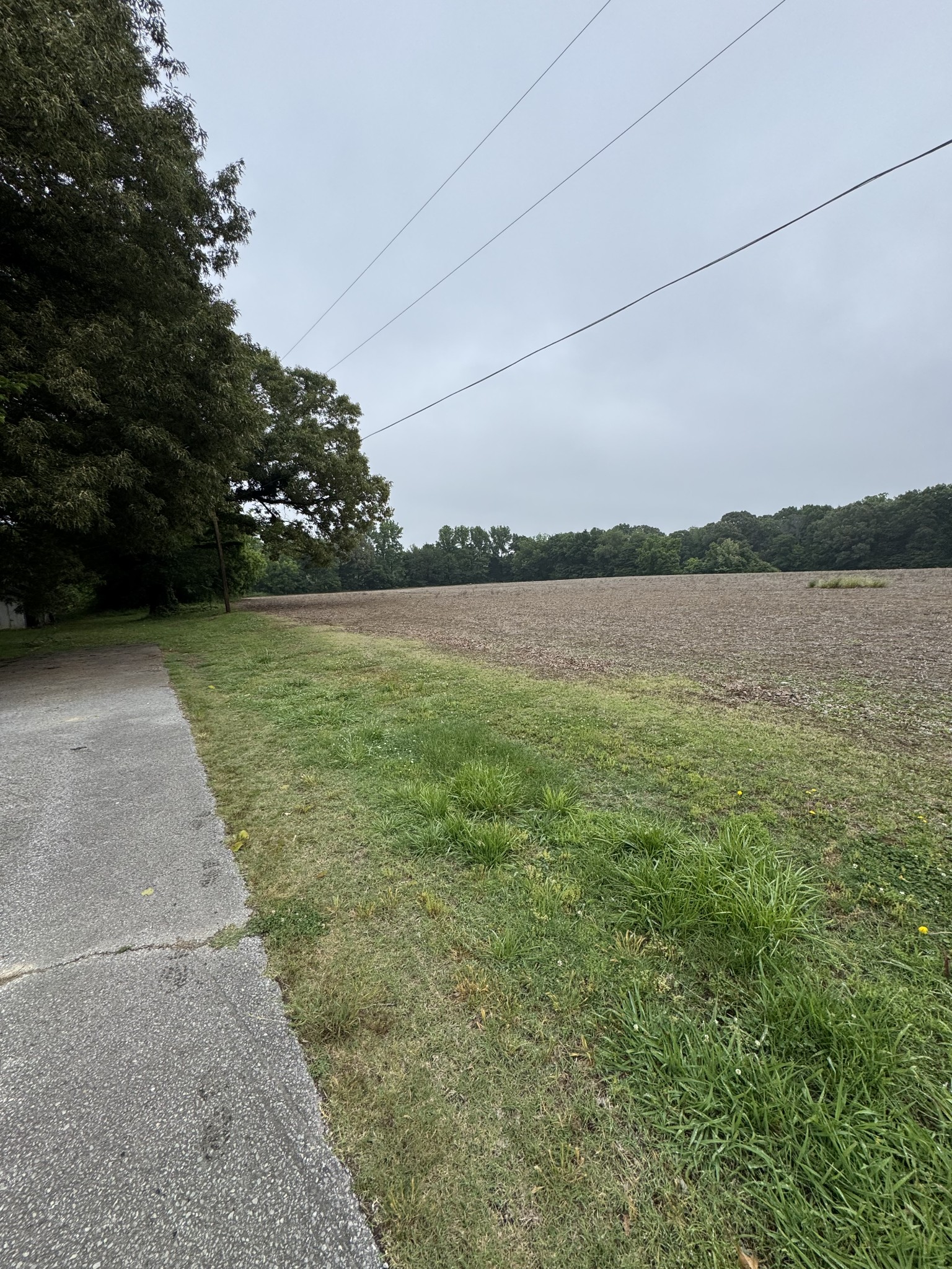 325 Harts Mill Road Atwood TN 38220