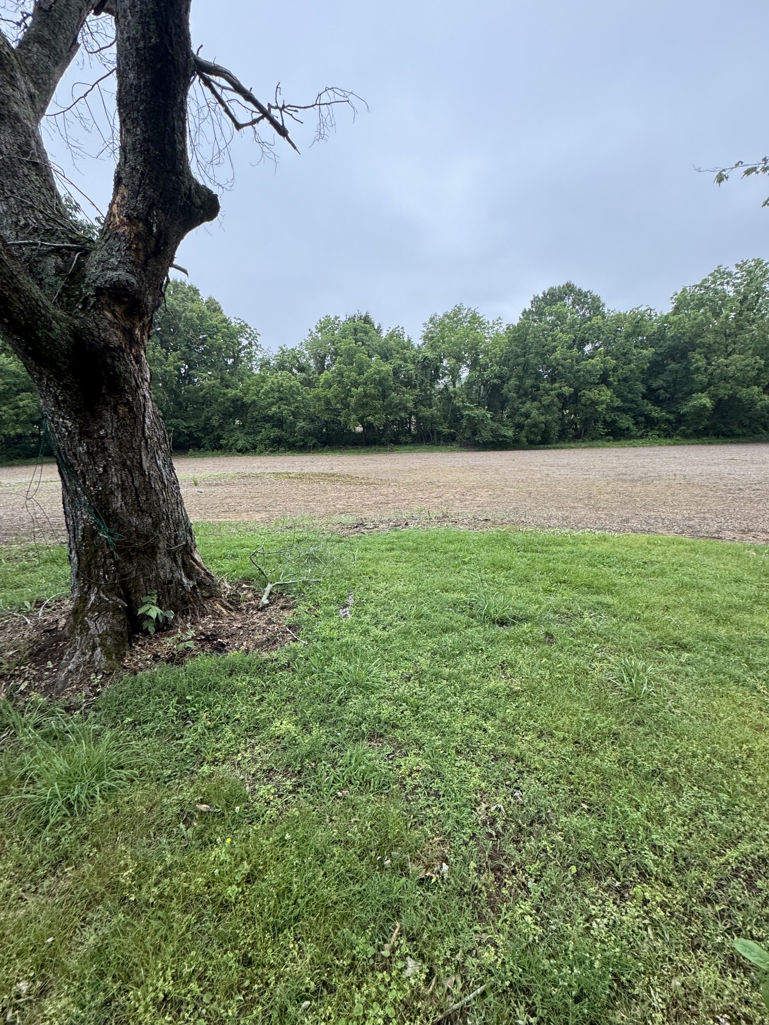 325 Harts Mill Road Atwood TN 38220