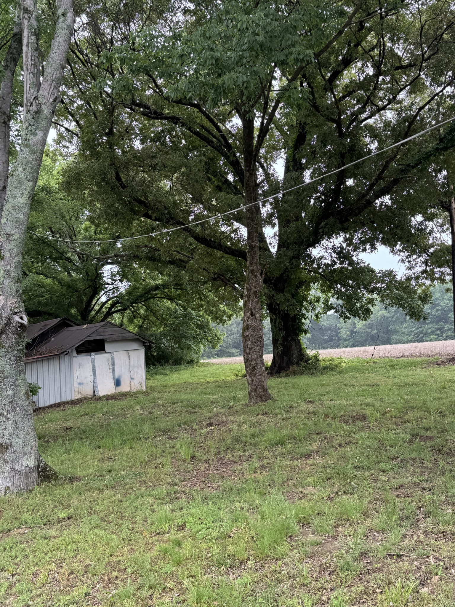 325 Harts Mill Road Atwood TN 38220