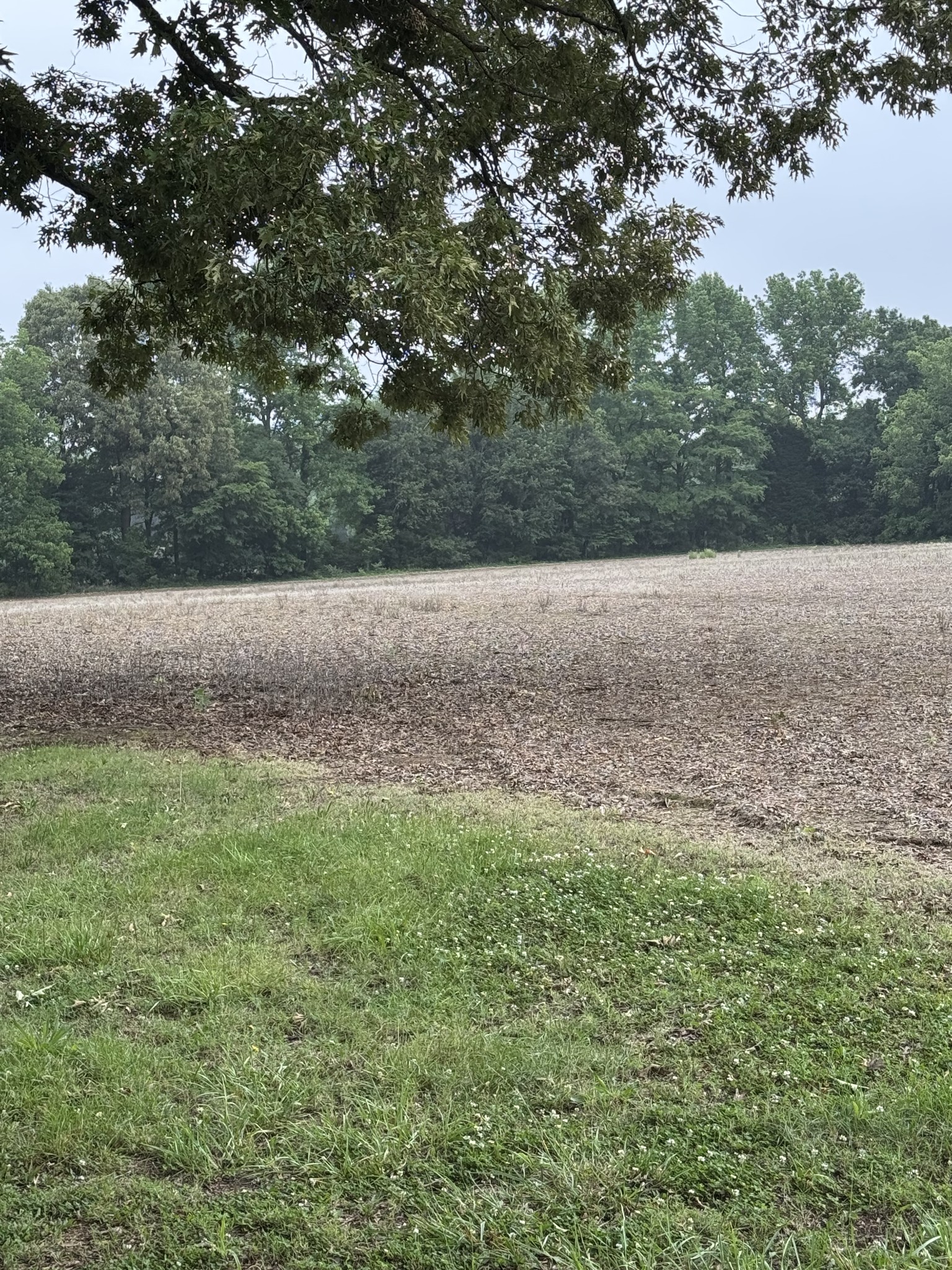 325 Harts Mill Road Atwood TN 38220