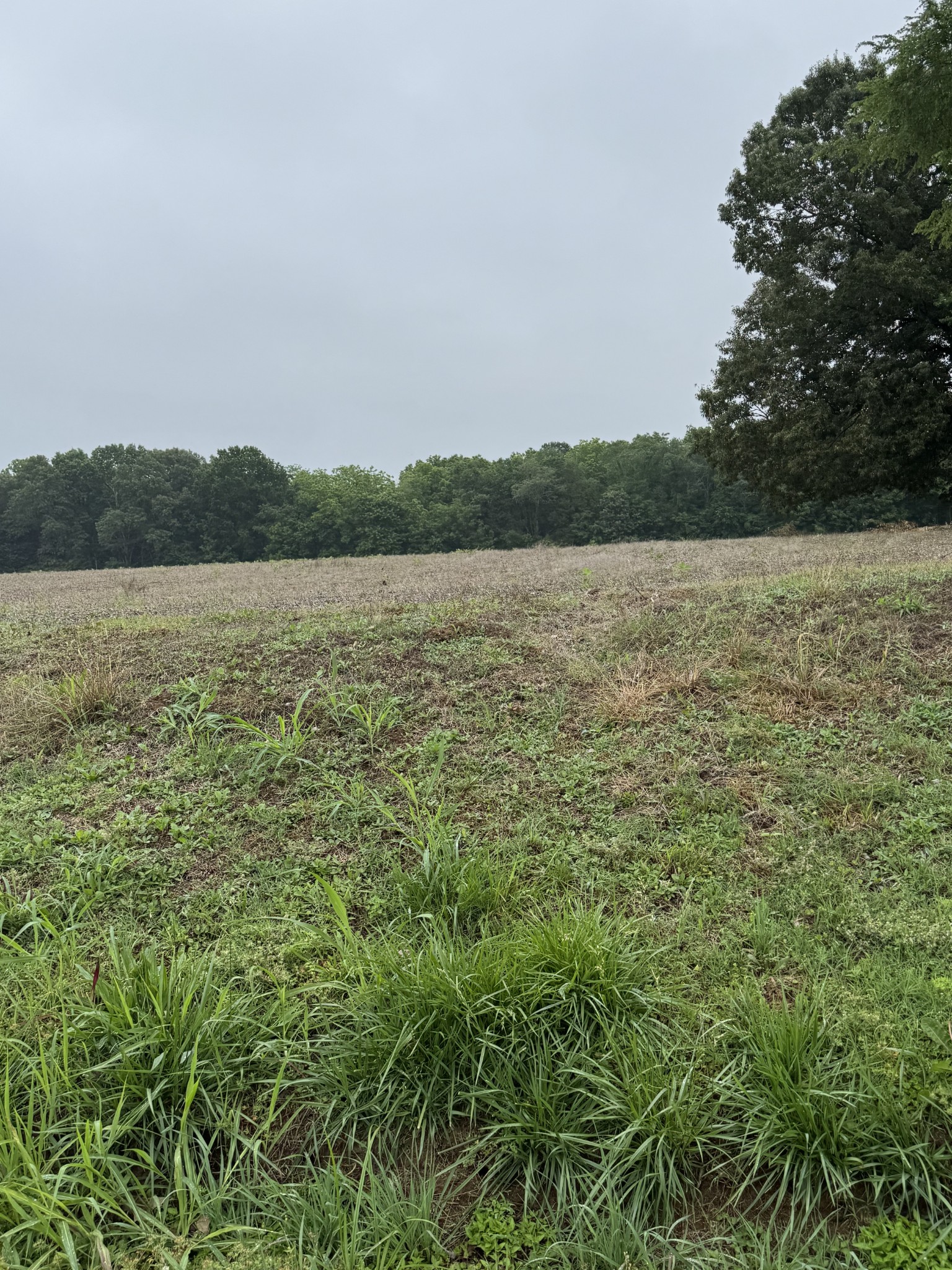 325 Harts Mill Road Atwood TN 38220