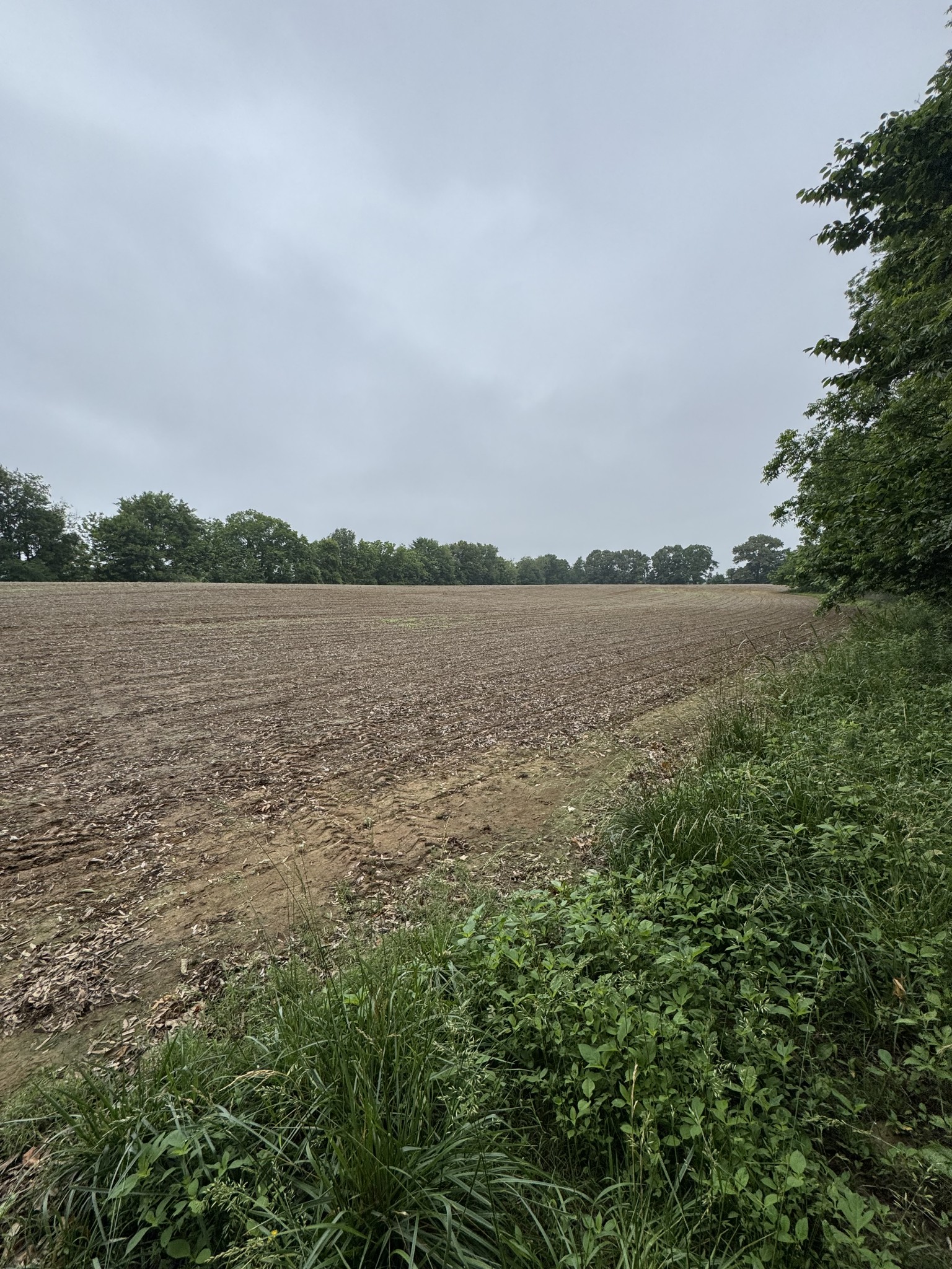 325 Harts Mill Road Atwood TN 38220