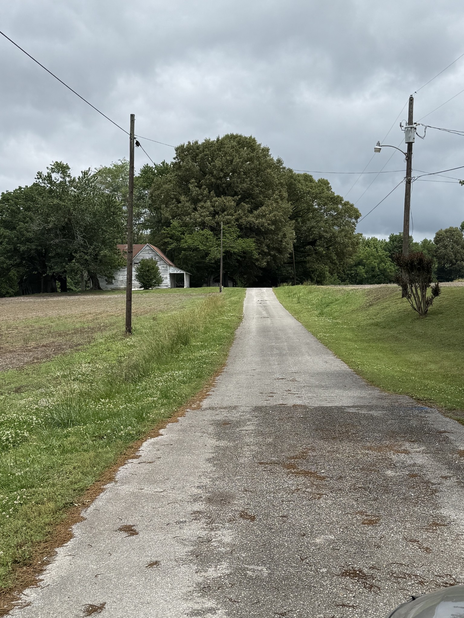 325 Harts Mill Road Atwood TN 38220
