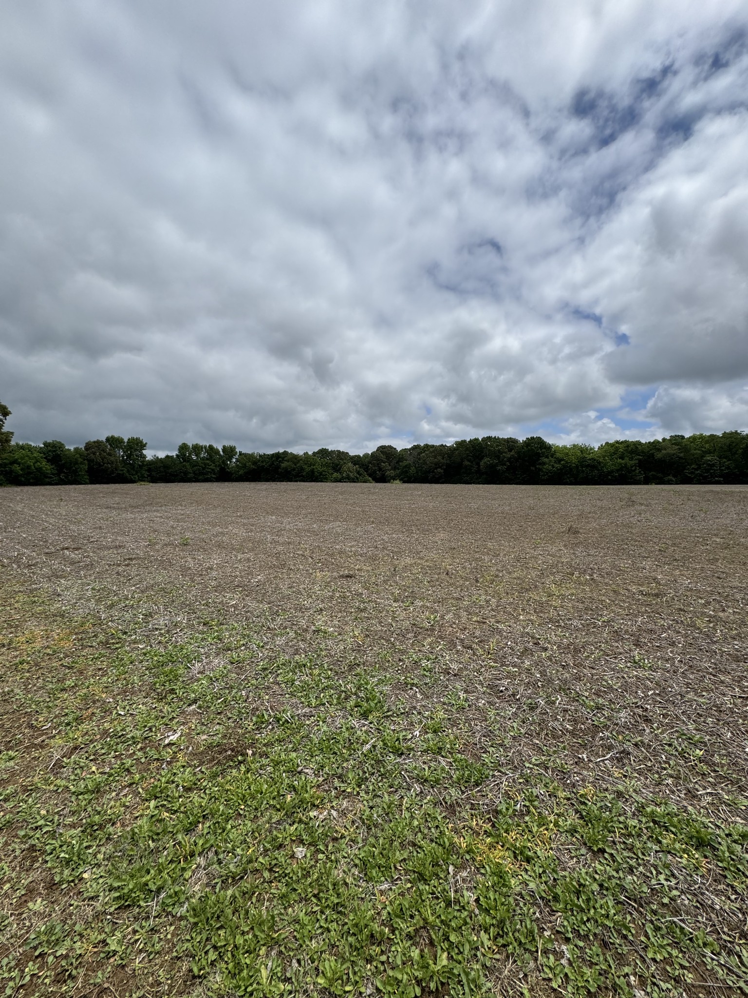 325 Harts Mill Road Atwood TN 38220