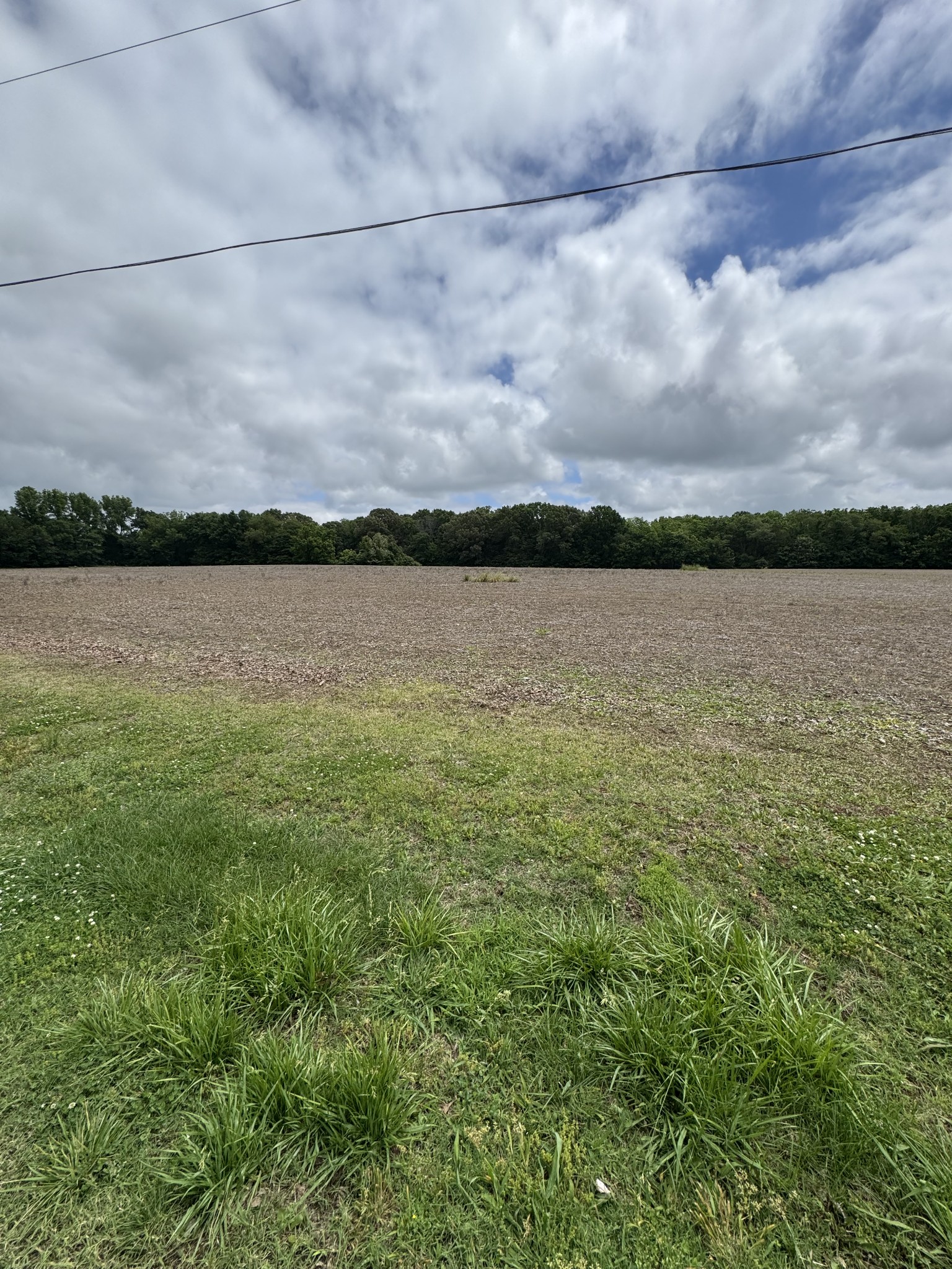 325 Harts Mill Road Atwood TN 38220