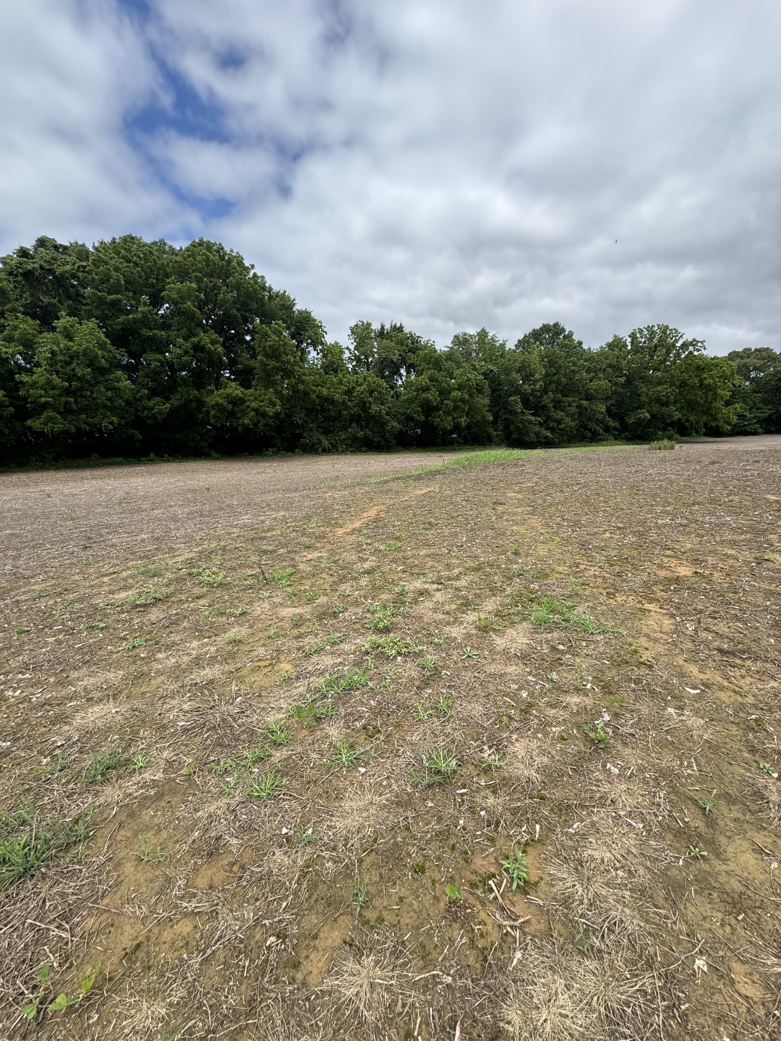 325 Harts Mill Road Atwood TN 38220