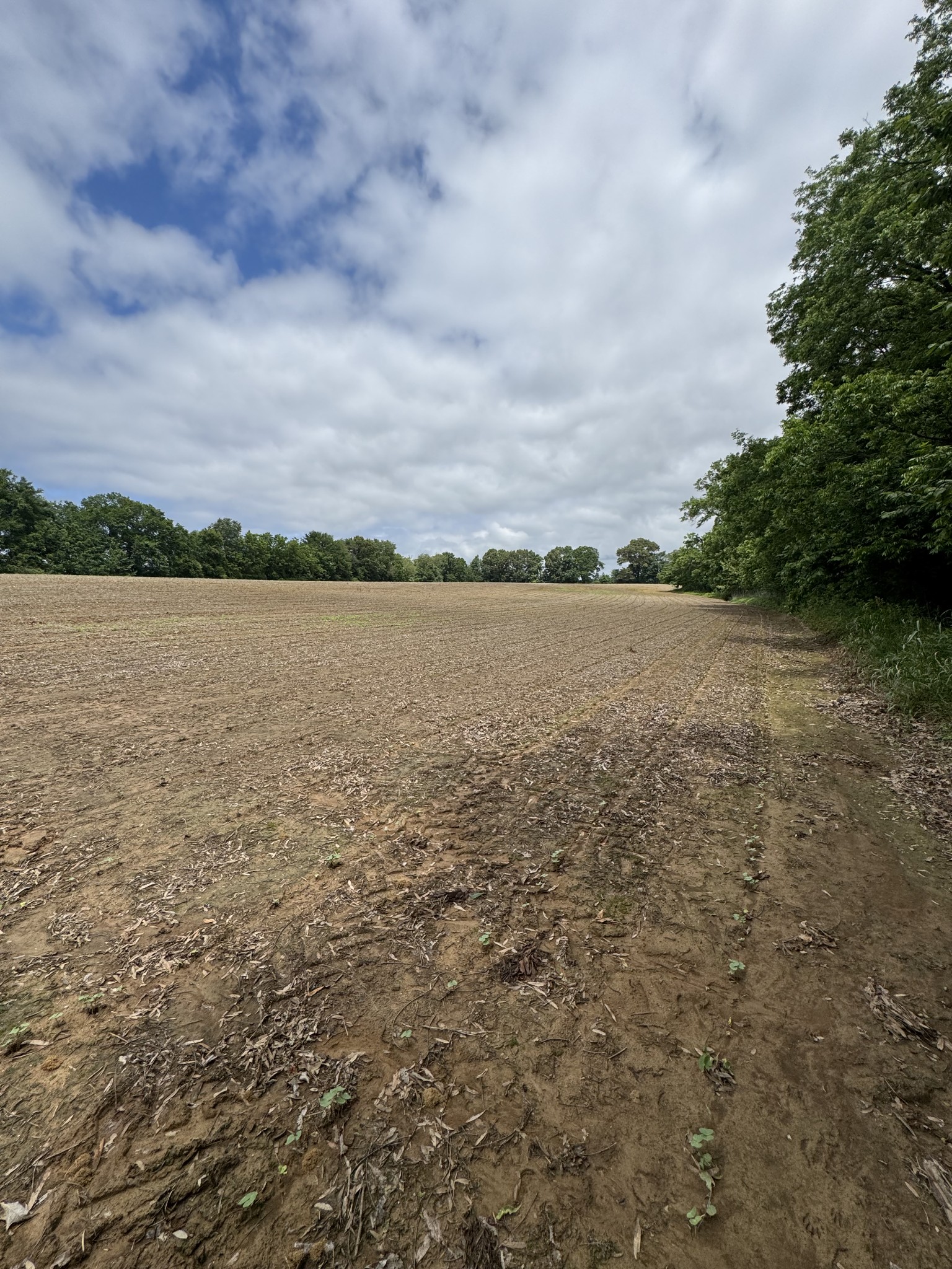 325 Harts Mill Road Atwood TN 38220