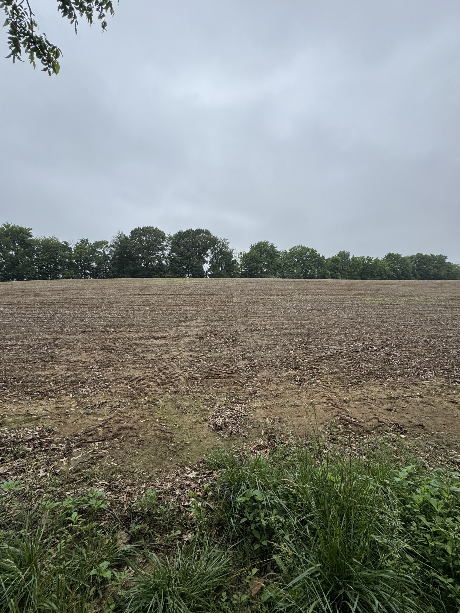 325 Harts Mill Road Atwood TN 38220