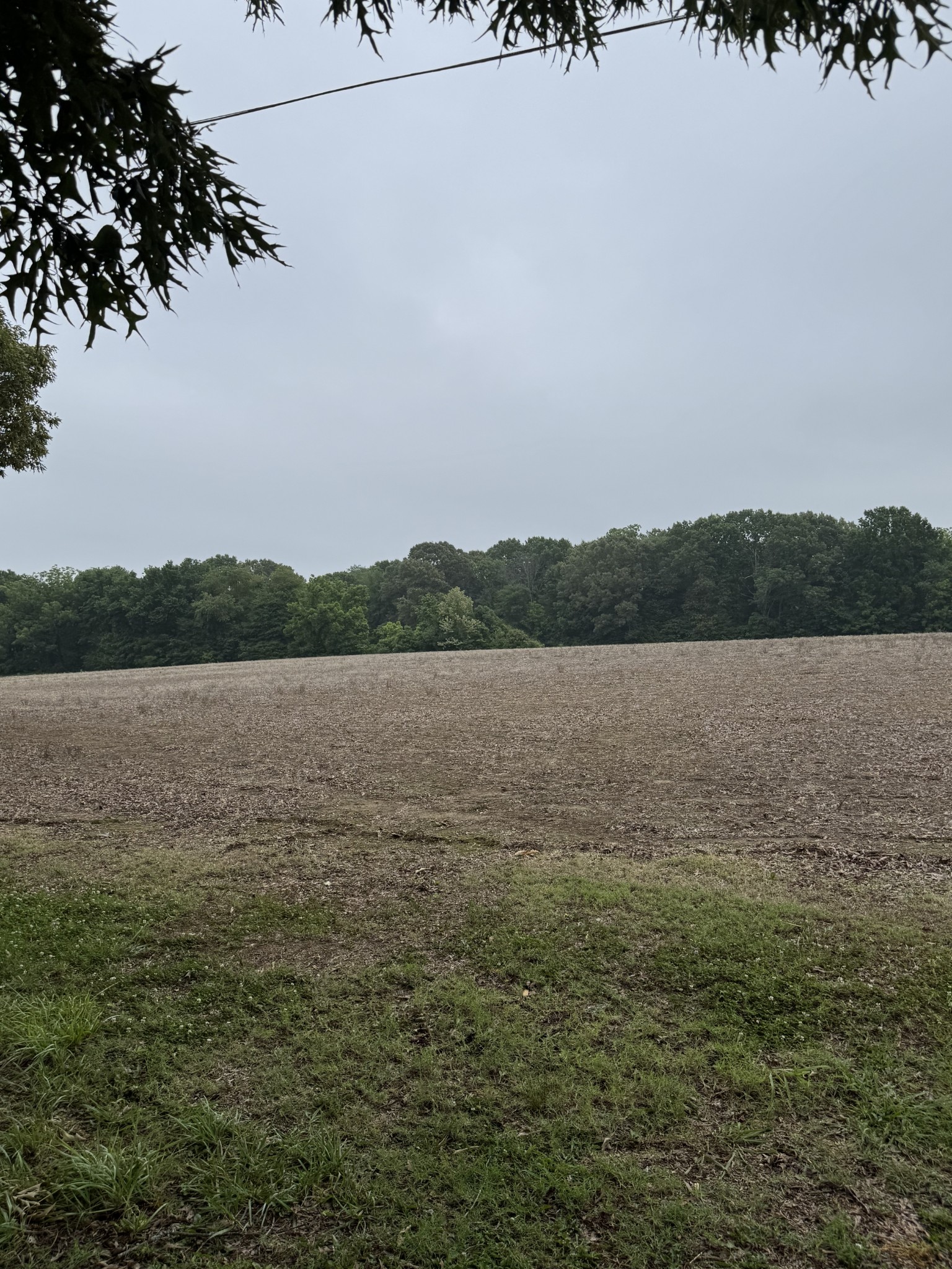 325 Harts Mill Road Atwood TN 38220