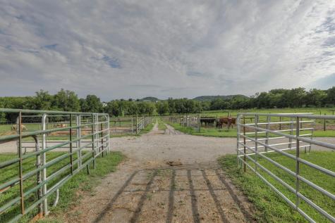 1112 Allisona Road Eagleville TN 37060