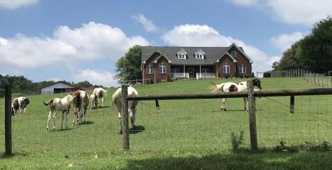 1112 Allisona Road Eagleville TN 37060