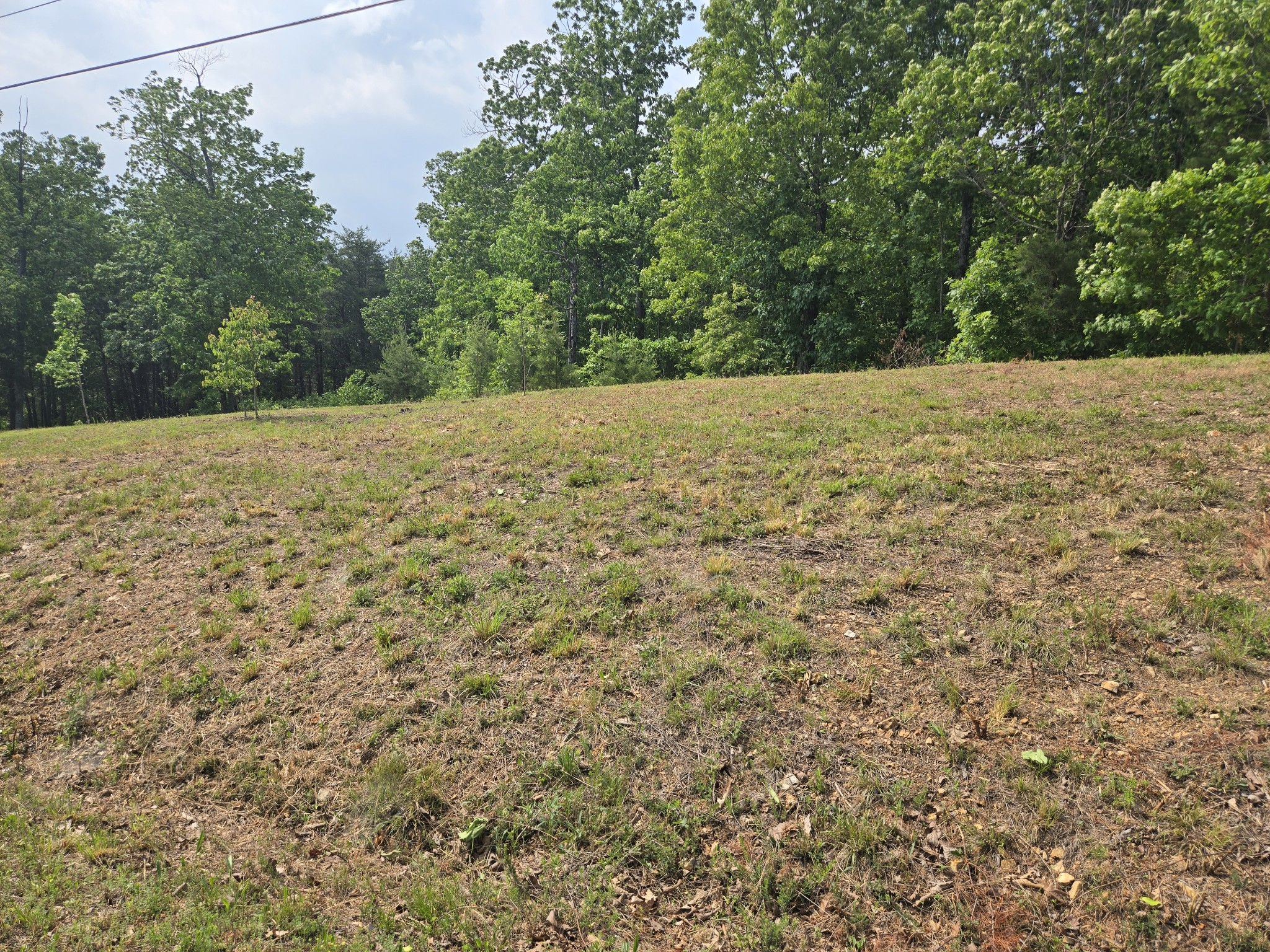 2 Turtle Point Waverly TN 37185
