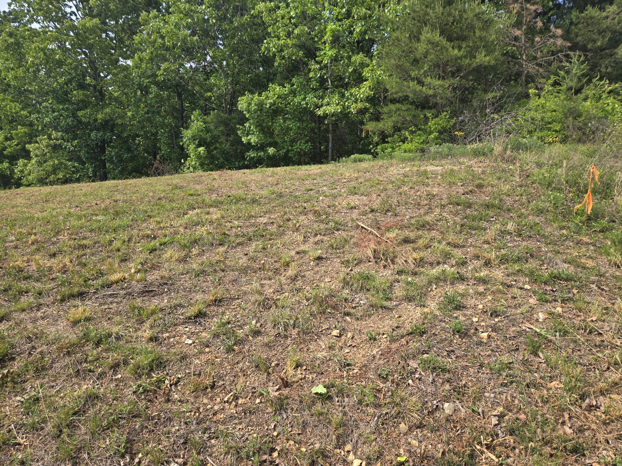 2 Turtle Point Waverly TN 37185