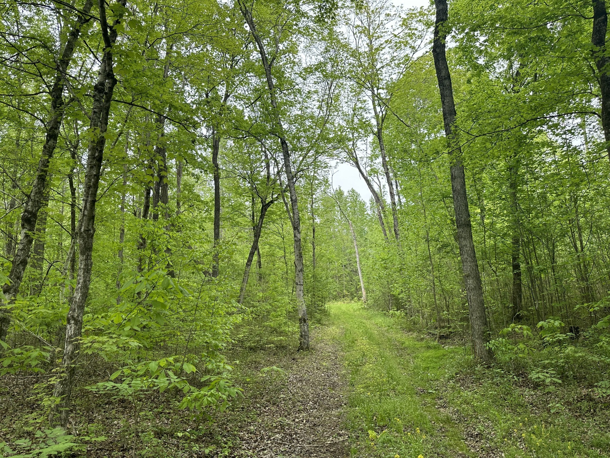 2 Poplar Ridge Road Chapmansboro TN 37035