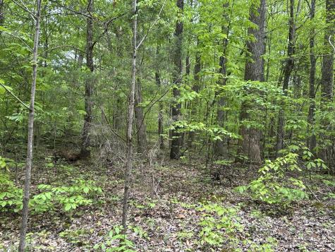 2 Poplar Ridge Road Chapmansboro TN 37035