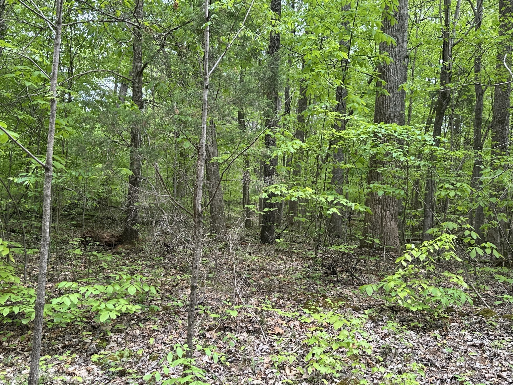 2 Poplar Ridge Road Chapmansboro TN 37035
