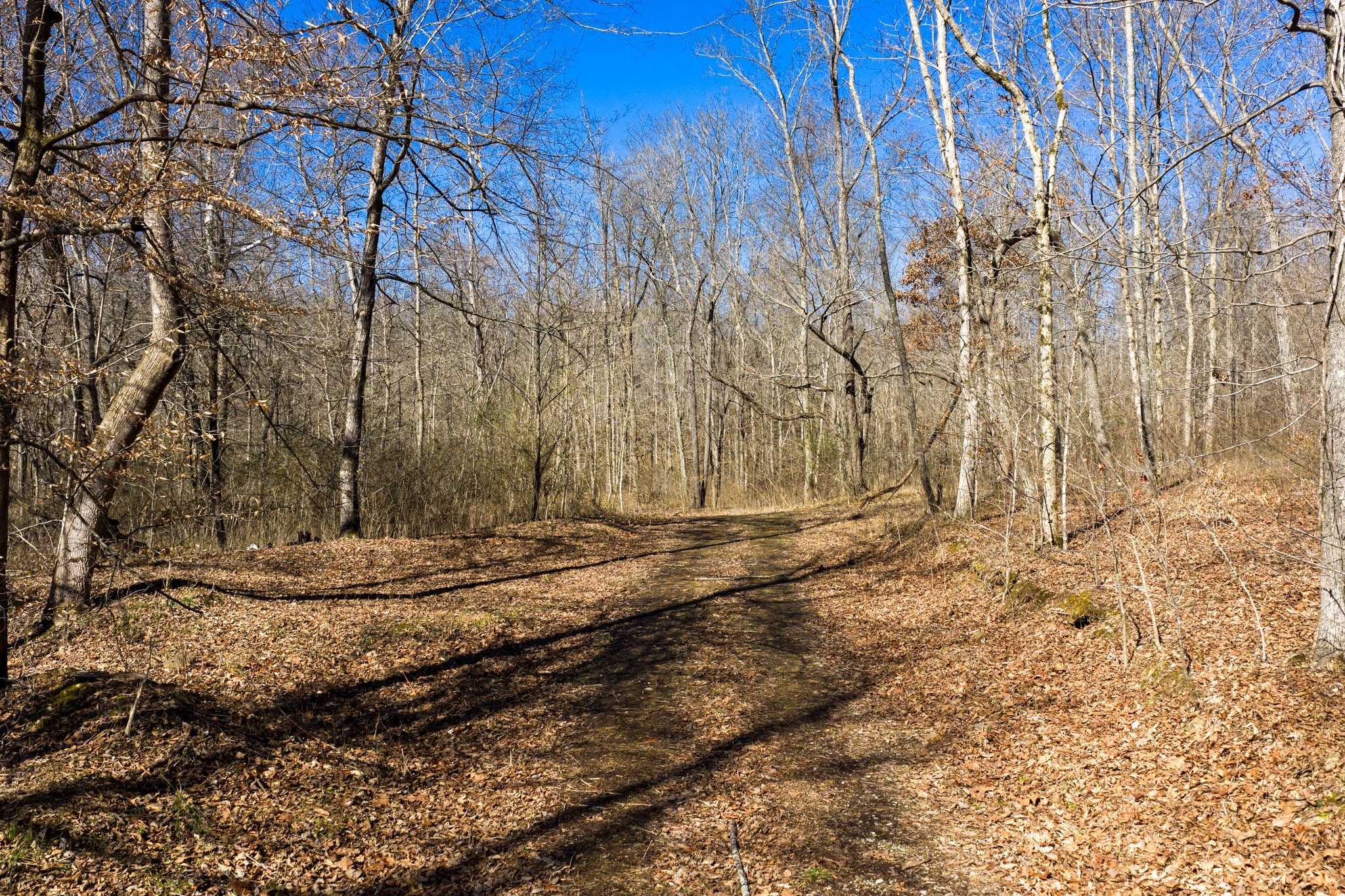 0 Wildcat Road Dickson TN 37055