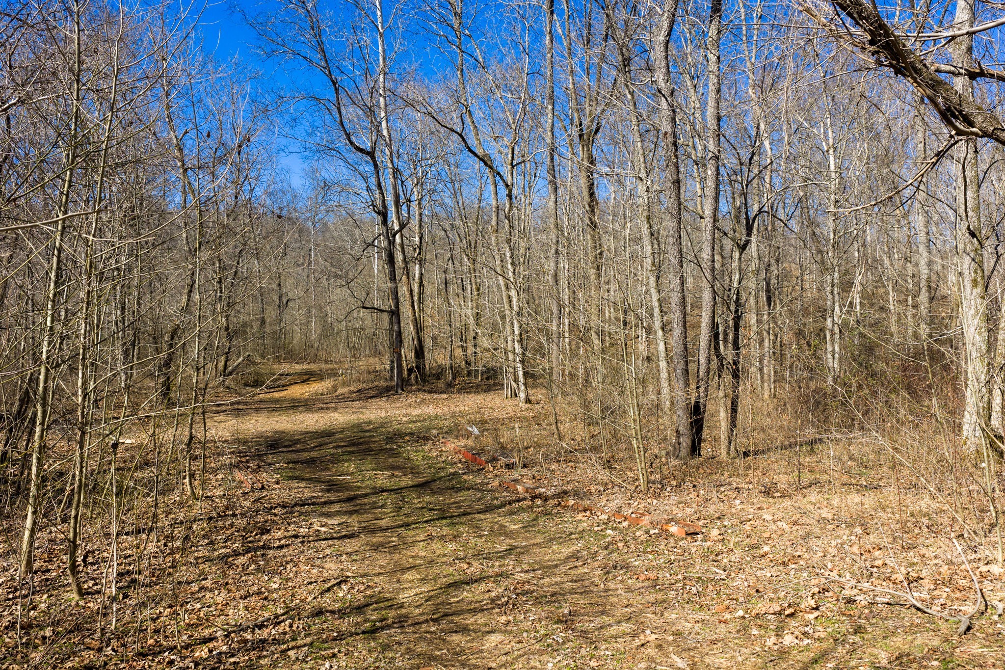 0 Wildcat Road Dickson TN 37055