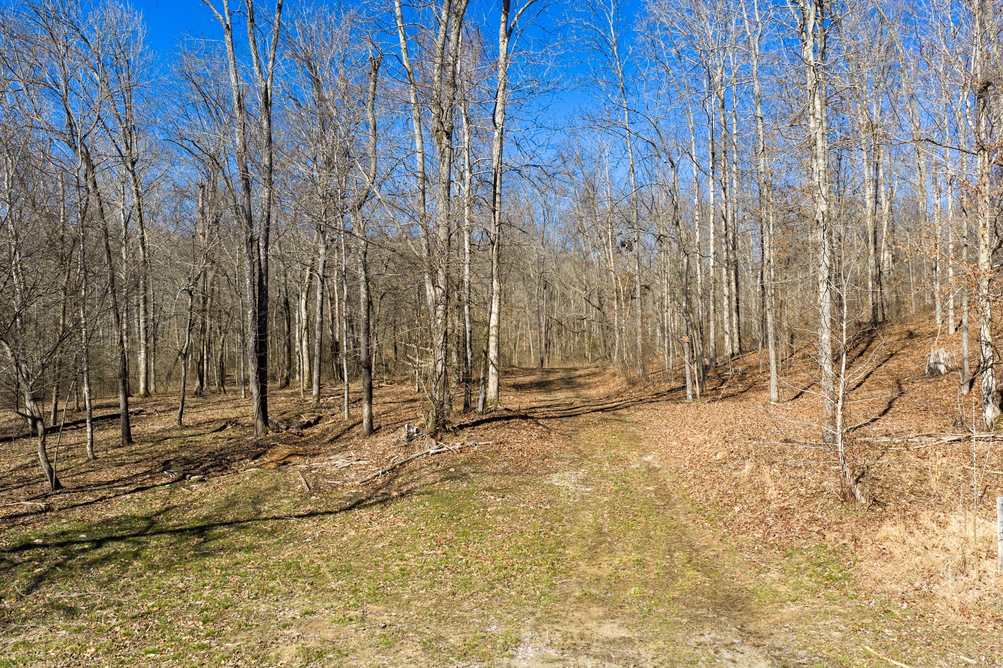 0 Wildcat Road Dickson TN 37055