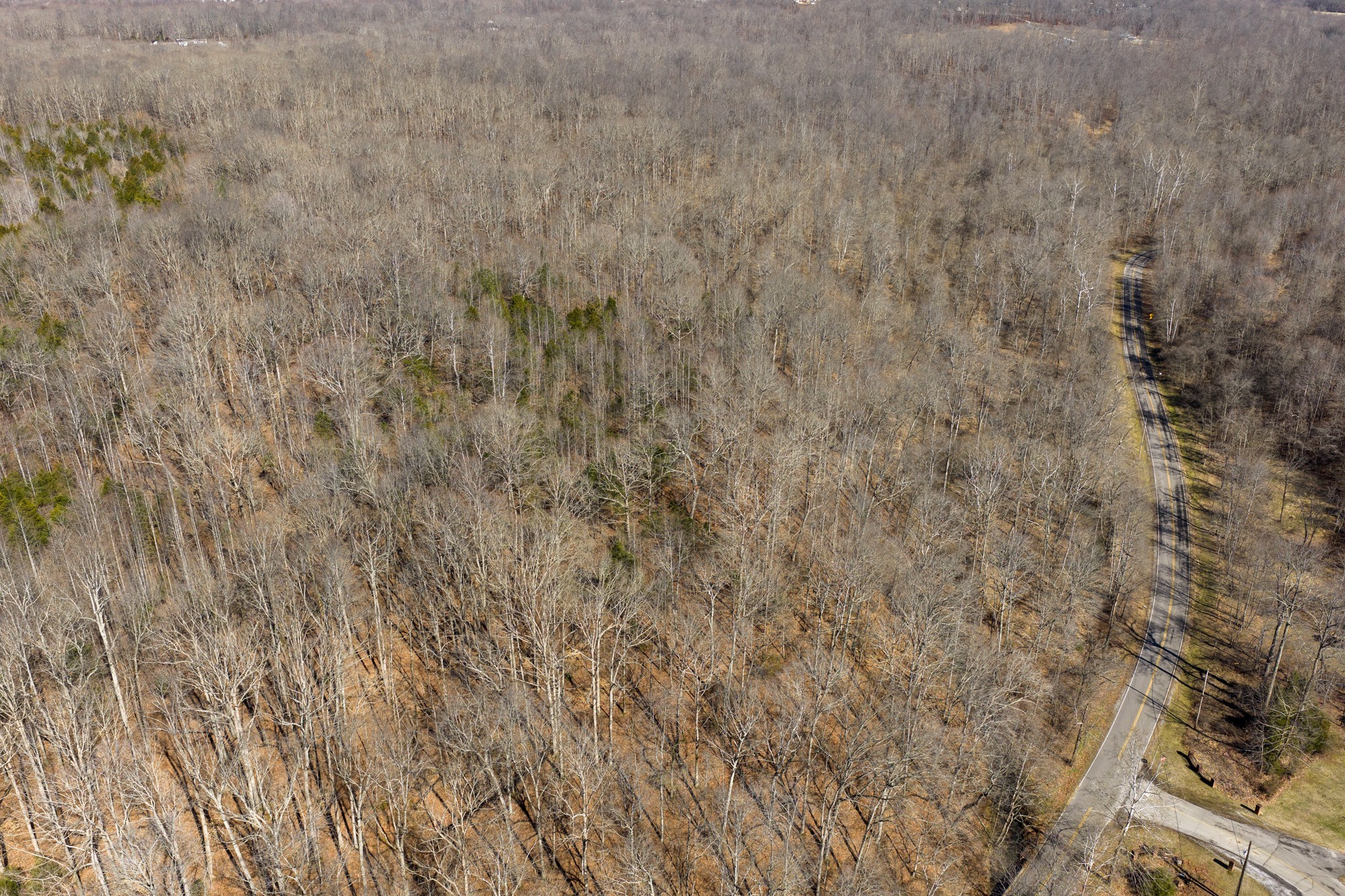 0 Wildcat Road Dickson TN 37055