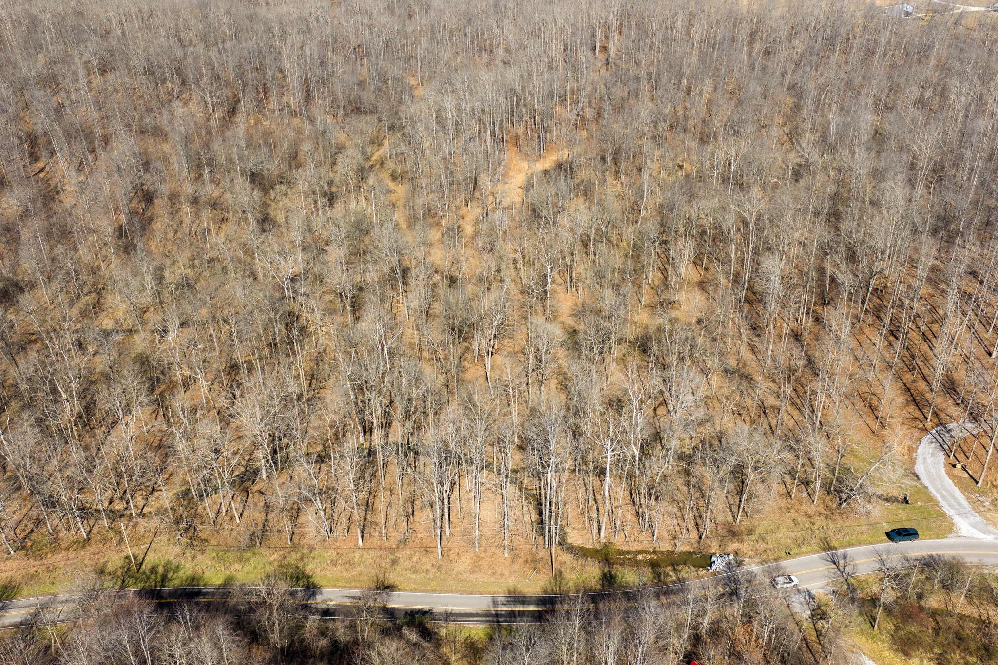 0 Wildcat Road Dickson TN 37055