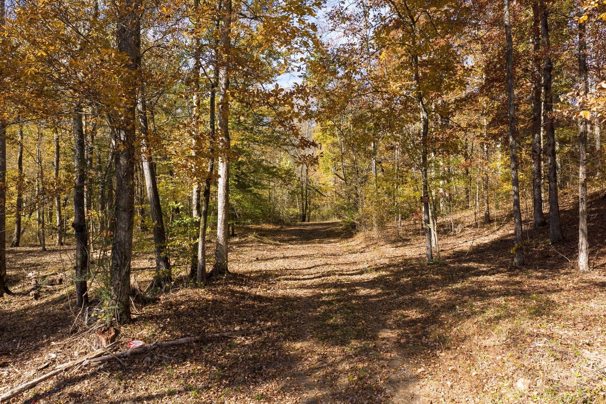 0 Wildcat Road Dickson TN 37055