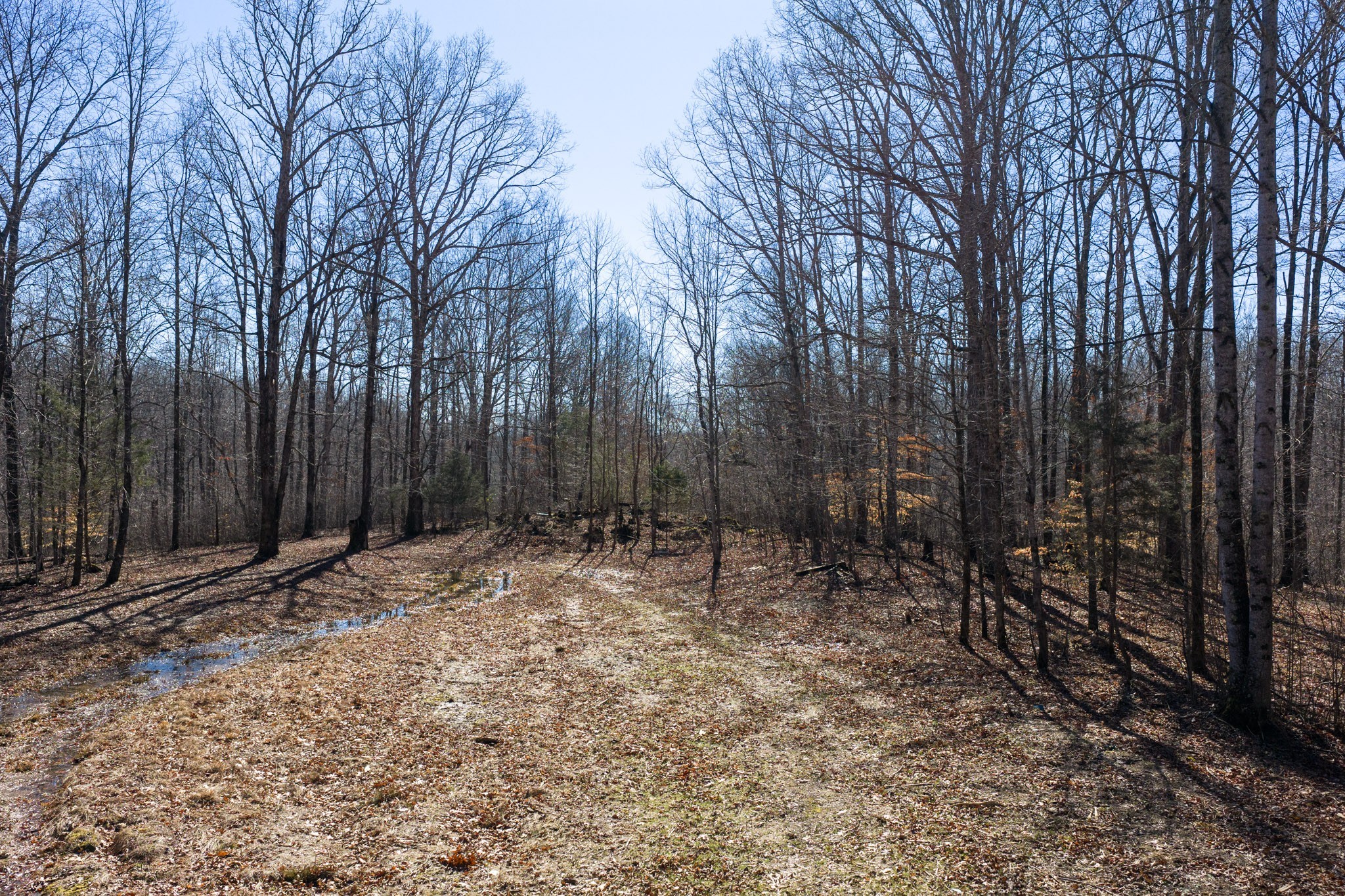0 Wildcat Road Dickson TN 37055