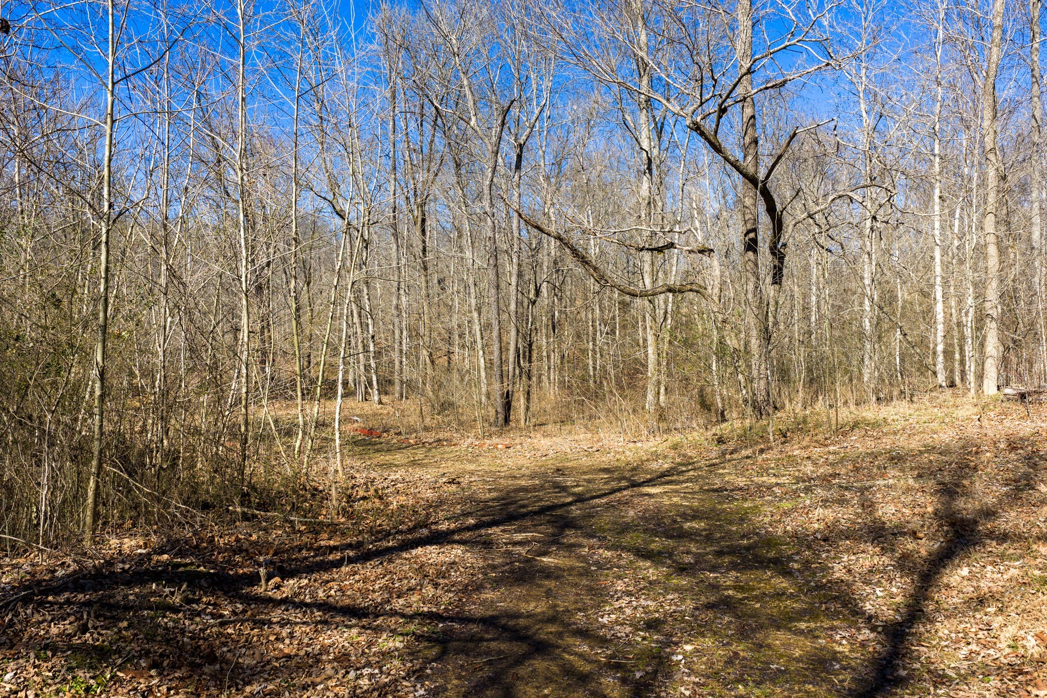 0 Wildcat Road Dickson TN 37055