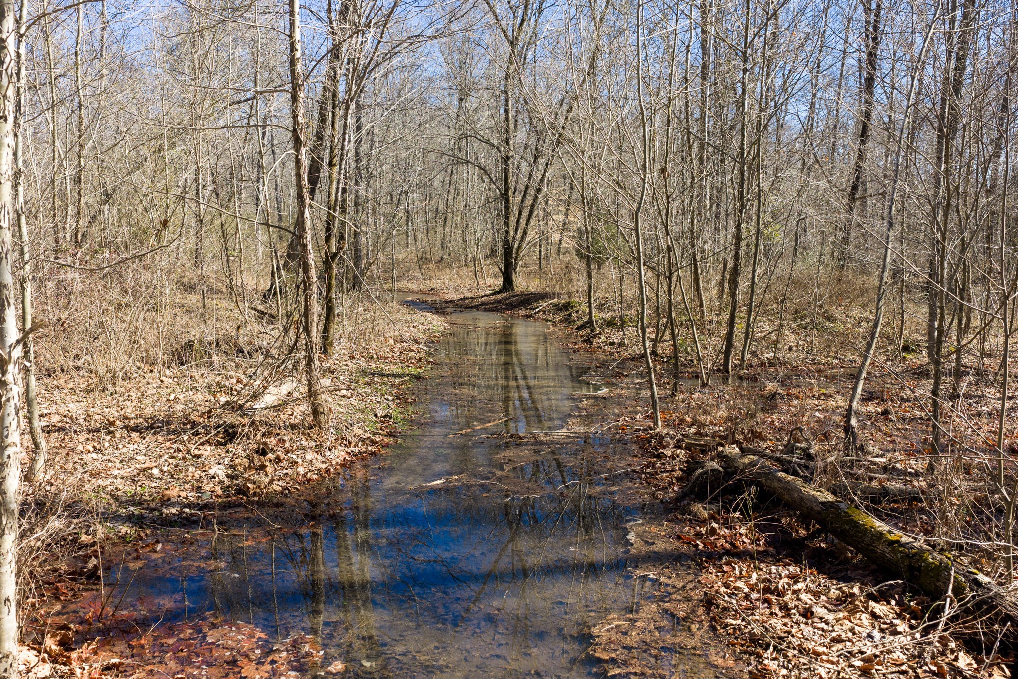 0 Wildcat Road Dickson TN 37055