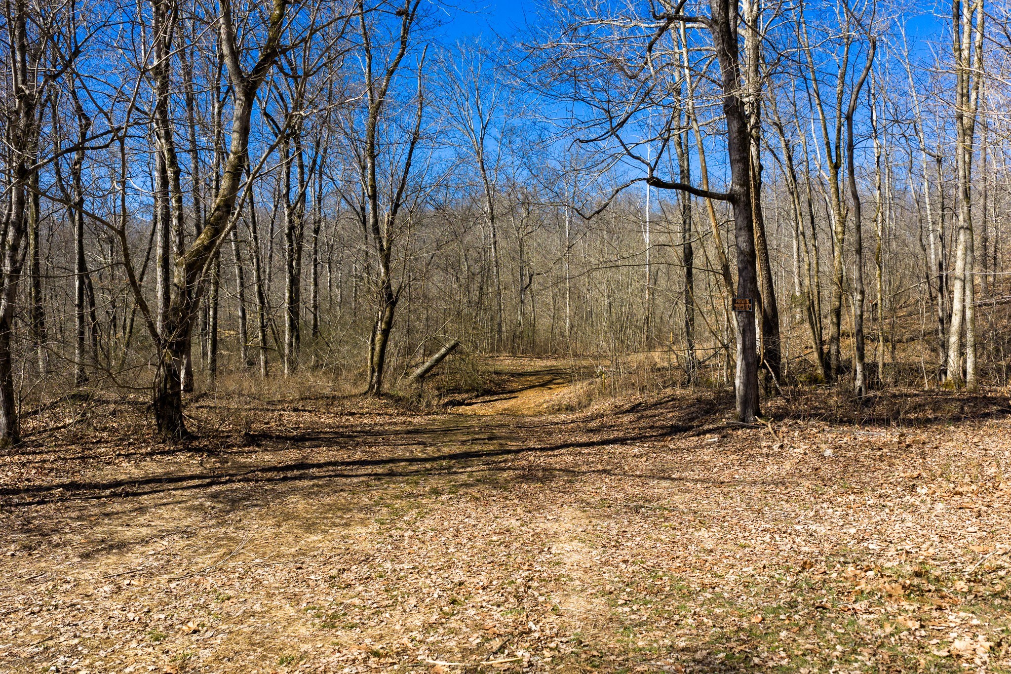 0 Wildcat Road Dickson TN 37055