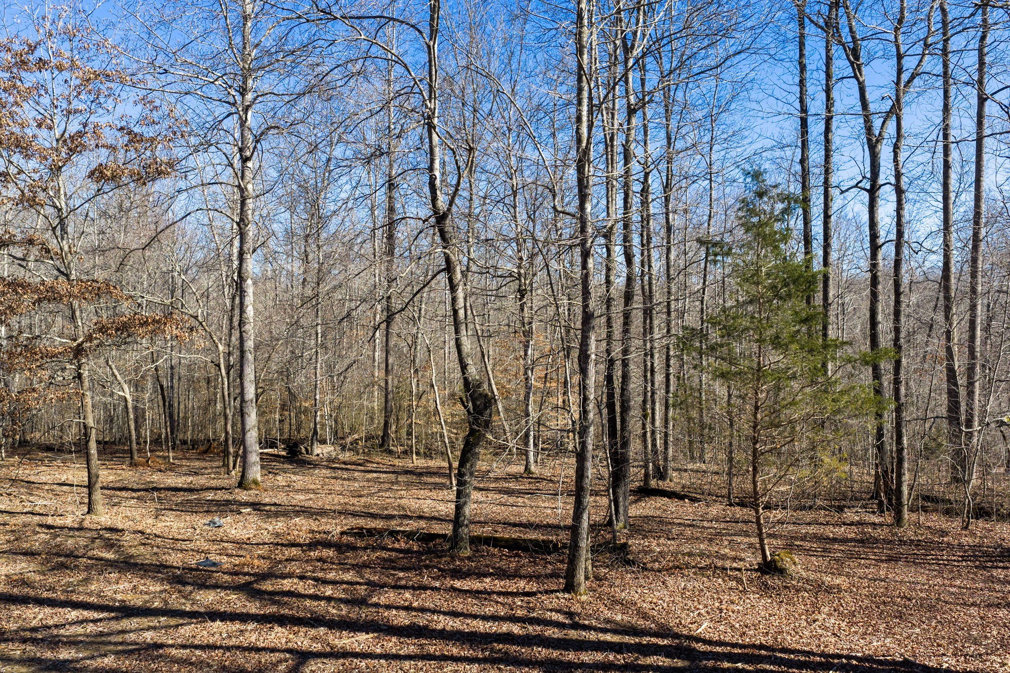 0 Wildcat Road Dickson TN 37055