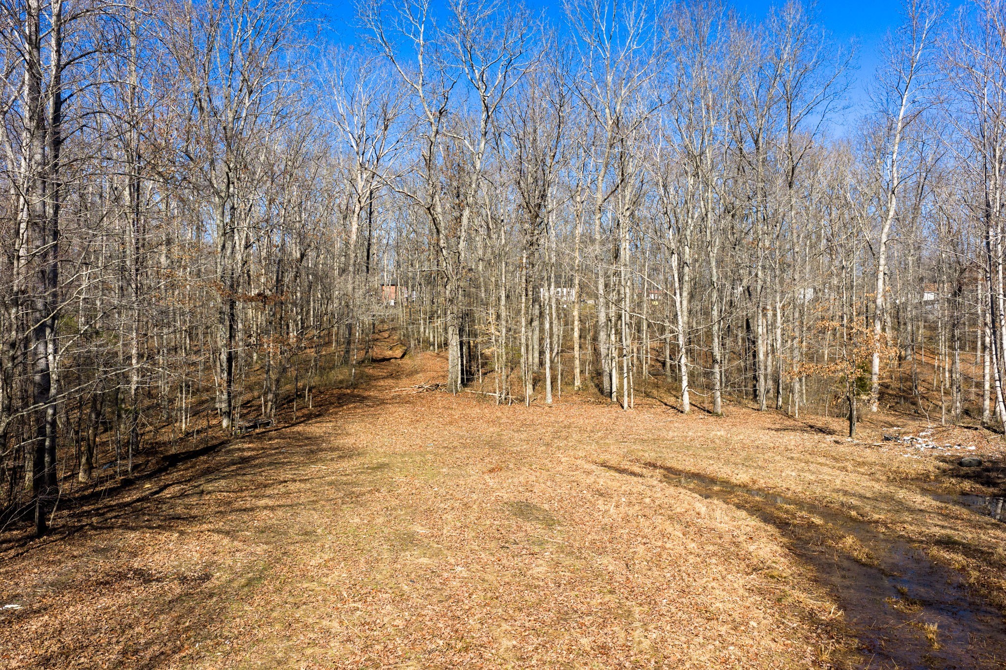 0 Wildcat Road Dickson TN 37055