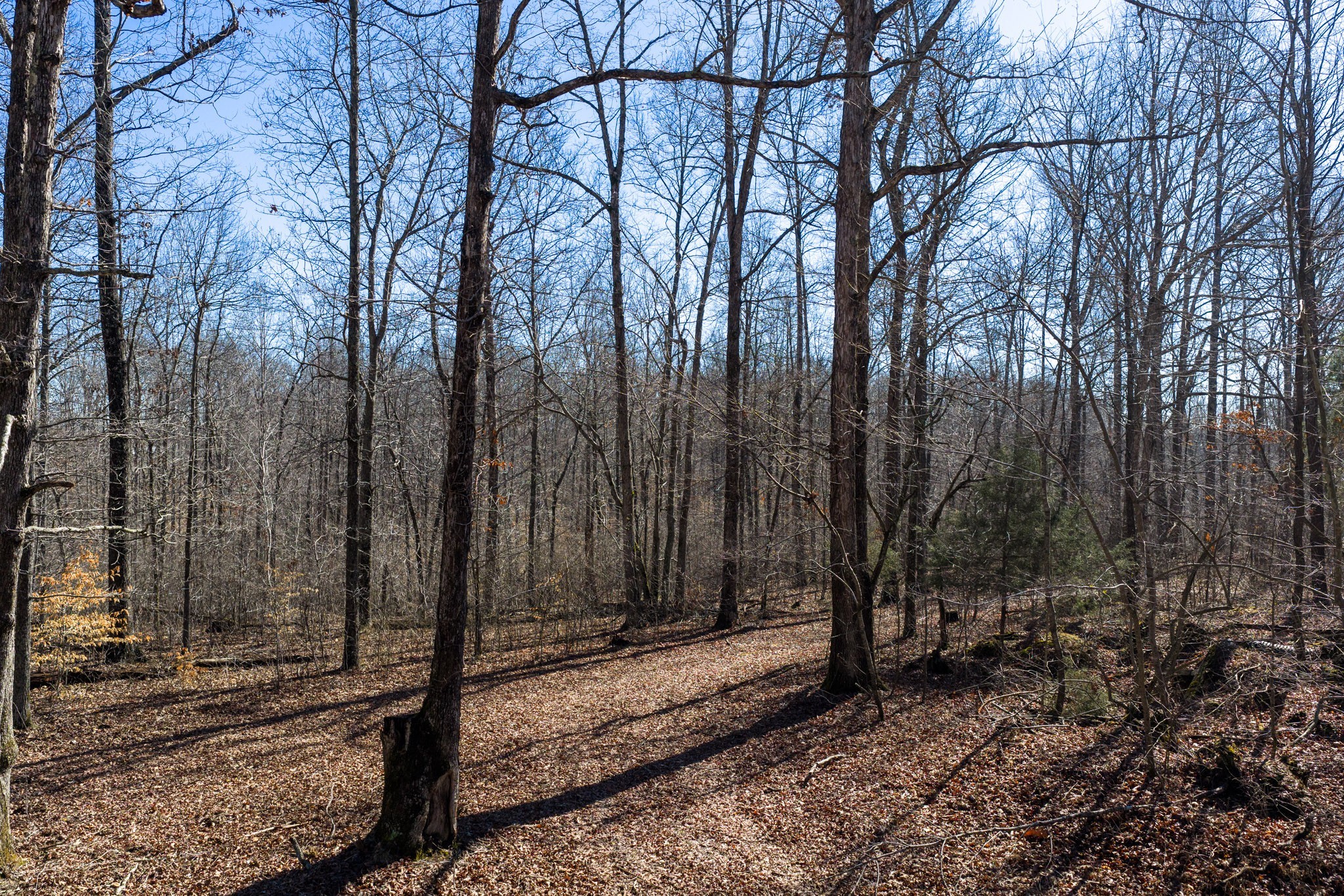 0 Wildcat Road Dickson TN 37055