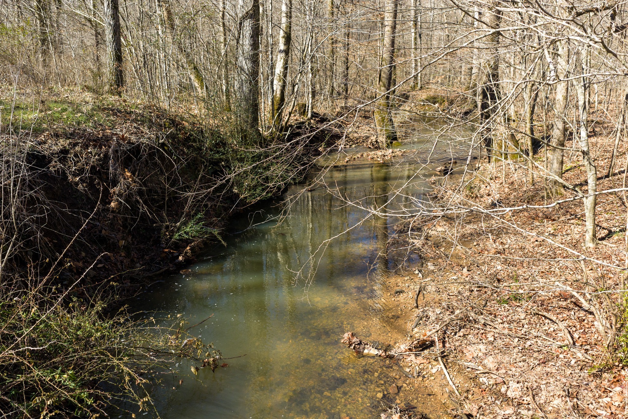 0 Wildcat Road Dickson TN 37055