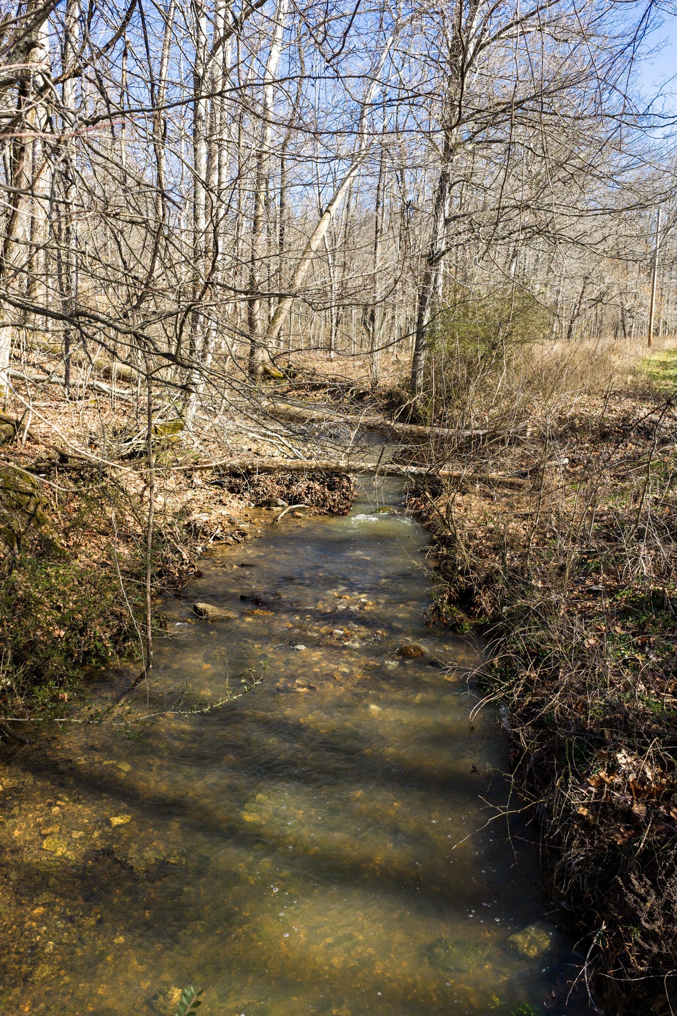 0 Wildcat Road Dickson TN 37055