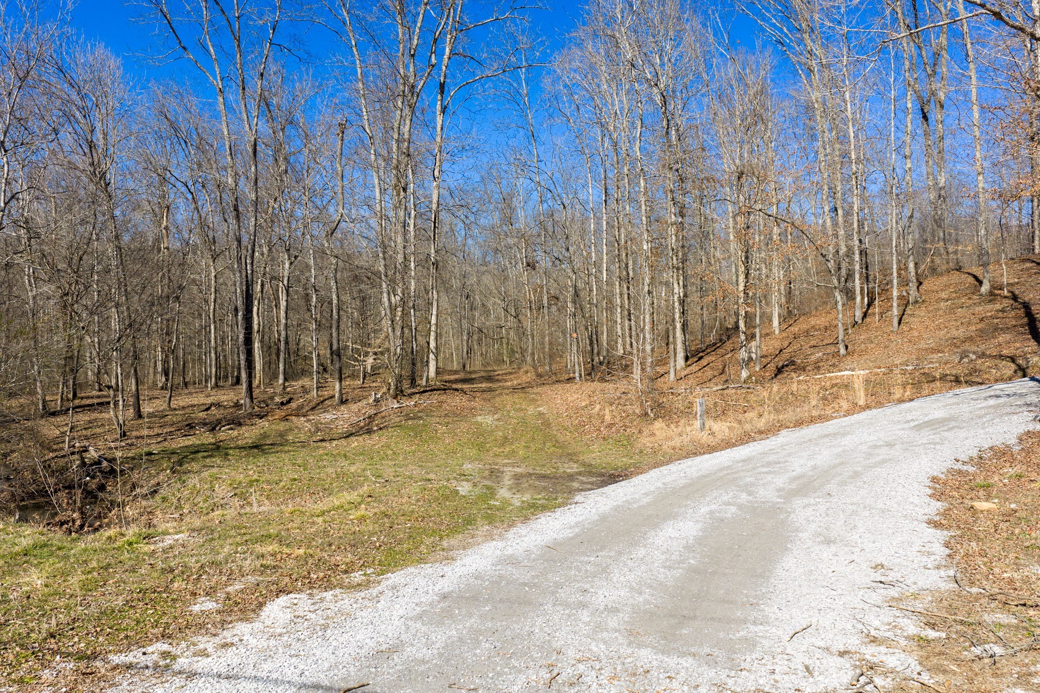 0 Wildcat Road Dickson TN 37055